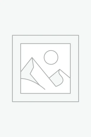 Decorative throw pillows